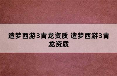 造梦西游3青龙资质 造梦西游3青龙资质